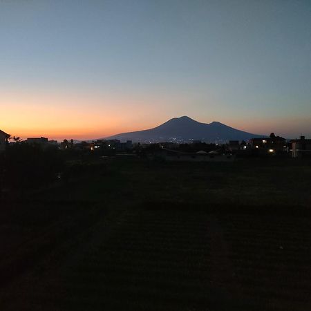 Lilla Housing Appartement Castellammare di Stabia Buitenkant foto